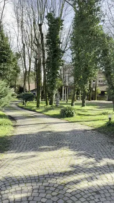 Il viale d'ingresso di Villa Roveglia