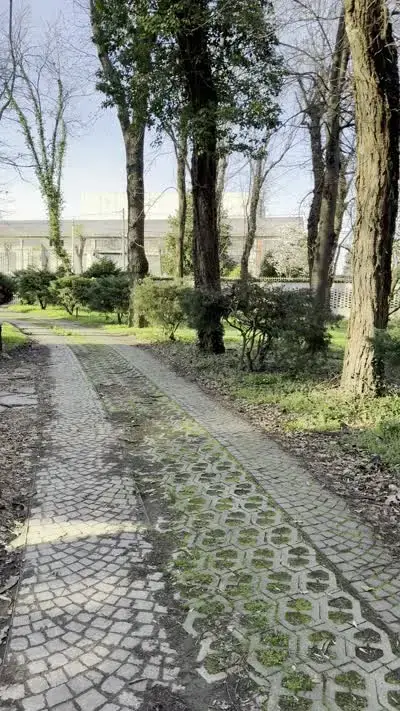 Sentiero nel parco di Villa Roveglia