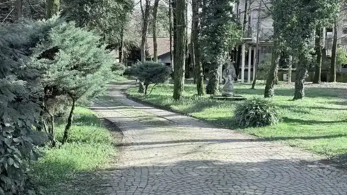 Viale alberato nel parco di Villa Roveglia