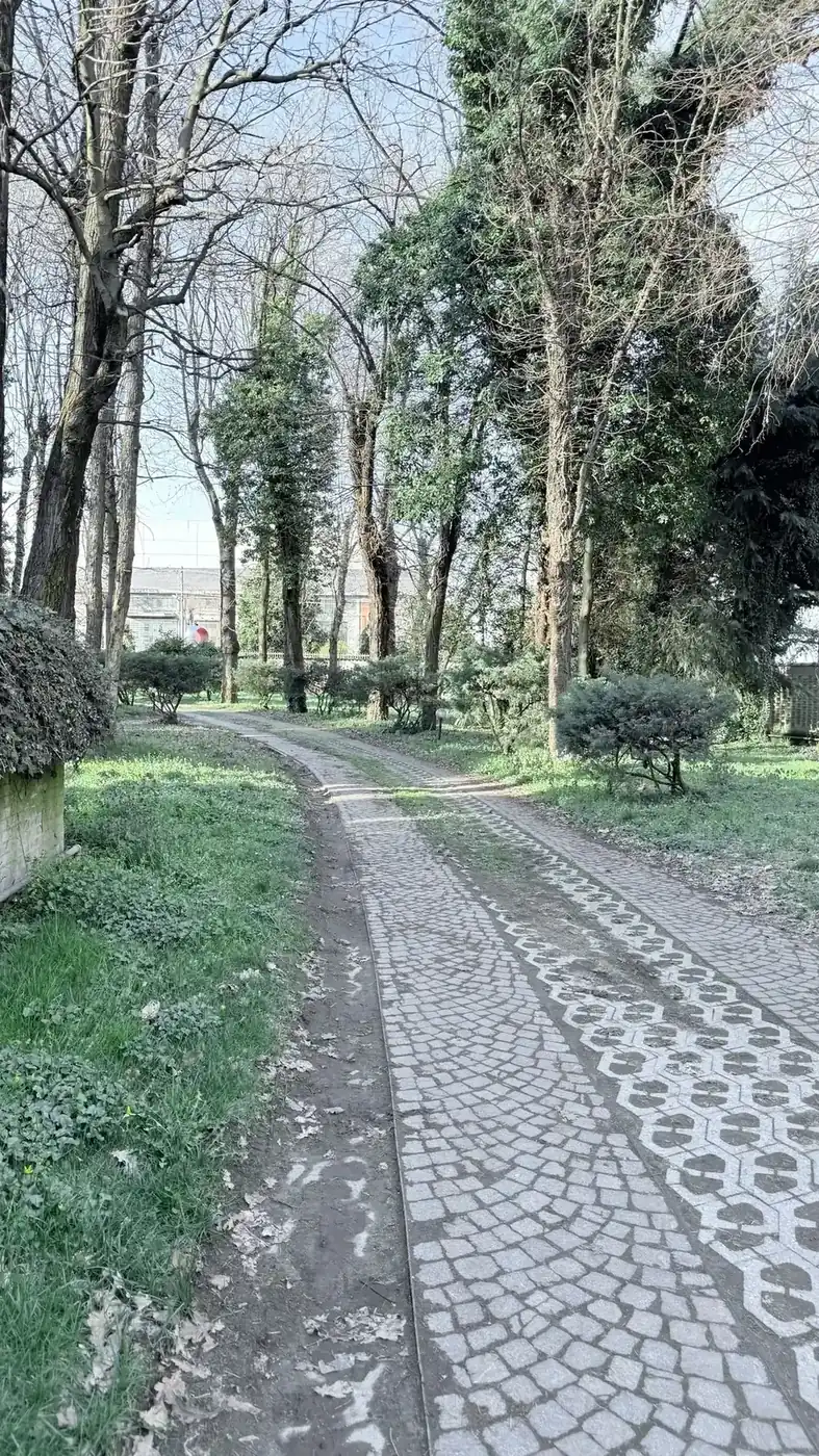 Viale alberato nel parco di Villa Roveglia